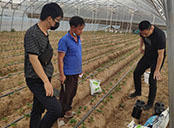 Ħ���F(xi��n)��ָ��ʩ�ʷ���Ҫ��2